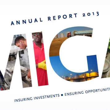 2013 Annual Report