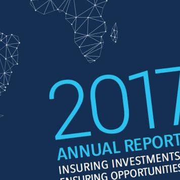 2017 Annual Report